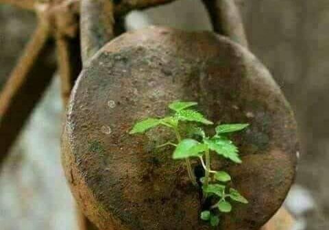 Hope in cancer care Alzahra oncology and GI center Sadir Alrawi and his team Dubai UAE June 2018